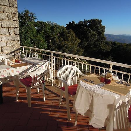 Casa Solotti Guest House Nuoro  Eksteriør bilde