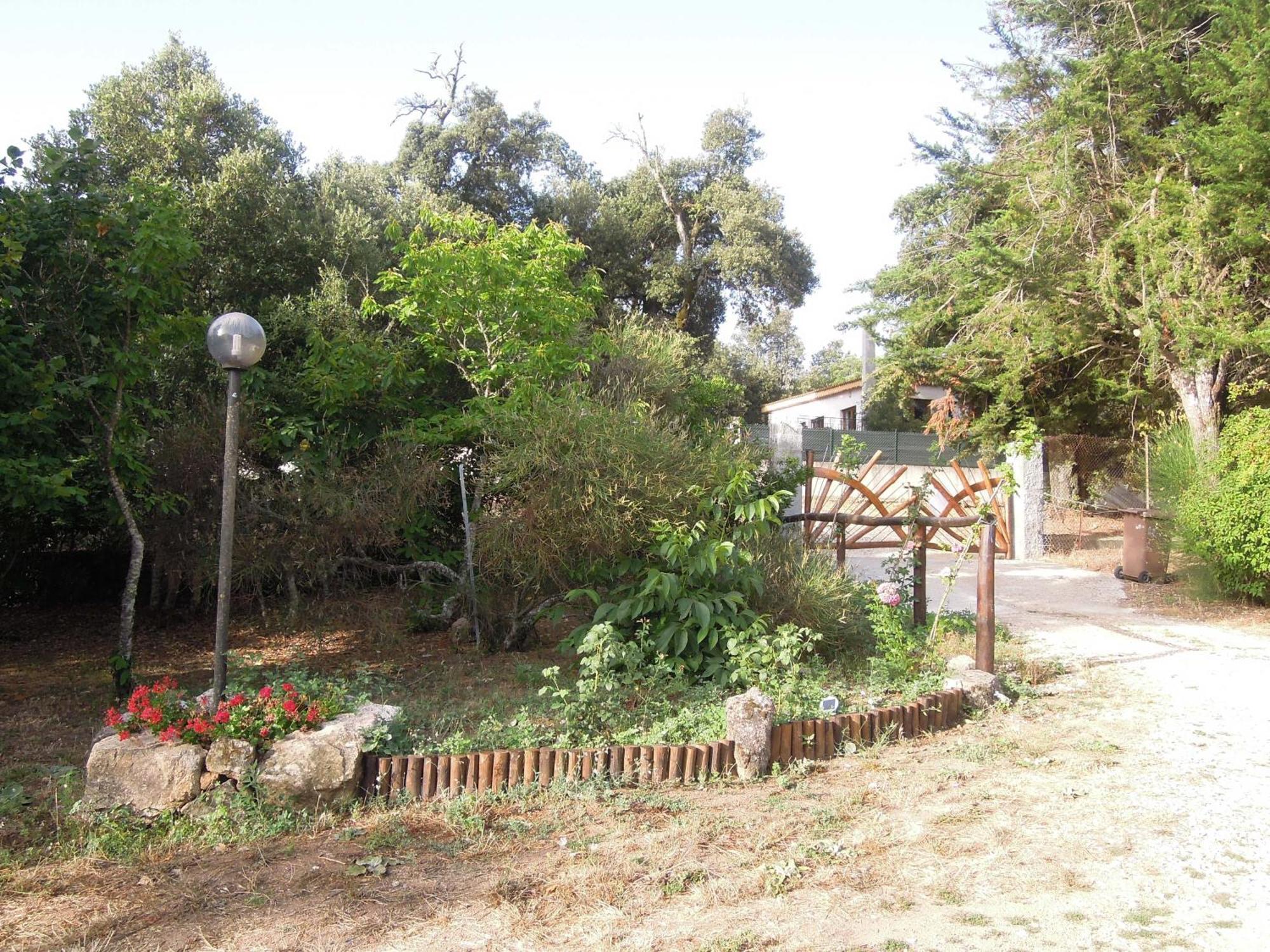 Casa Solotti Guest House Nuoro  Eksteriør bilde